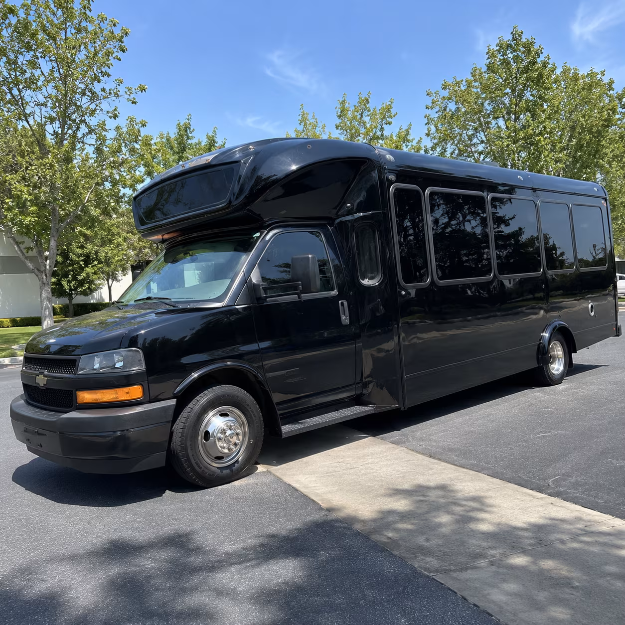 greenville 15 passenger party bus