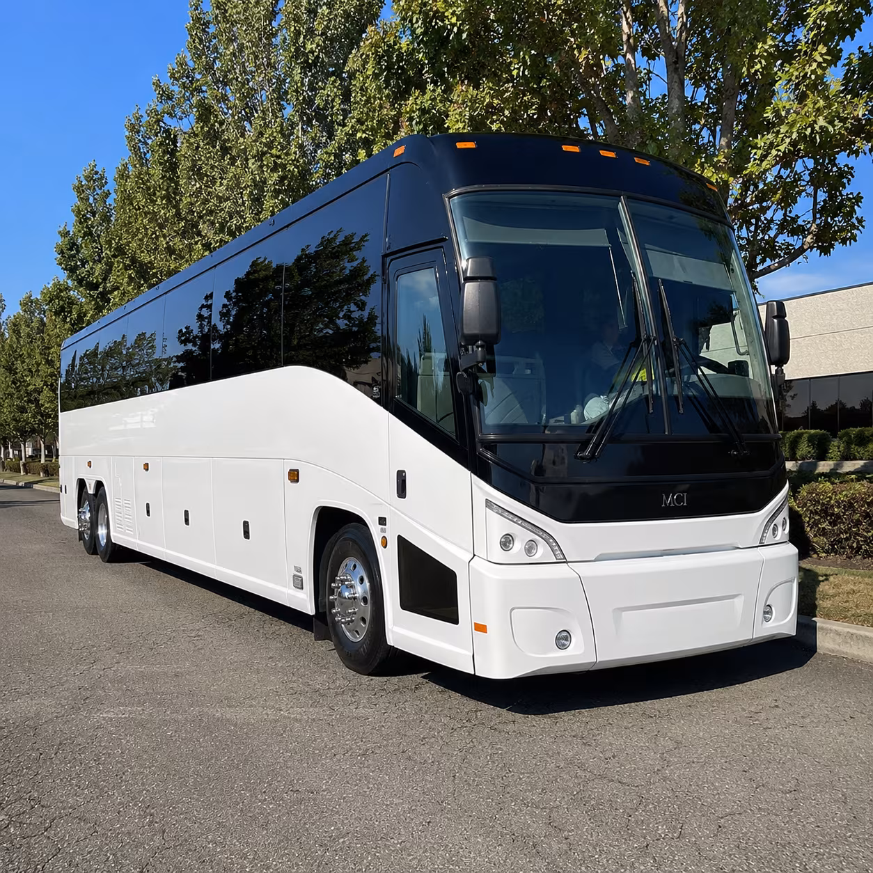 greenville 50 passenger charter bus