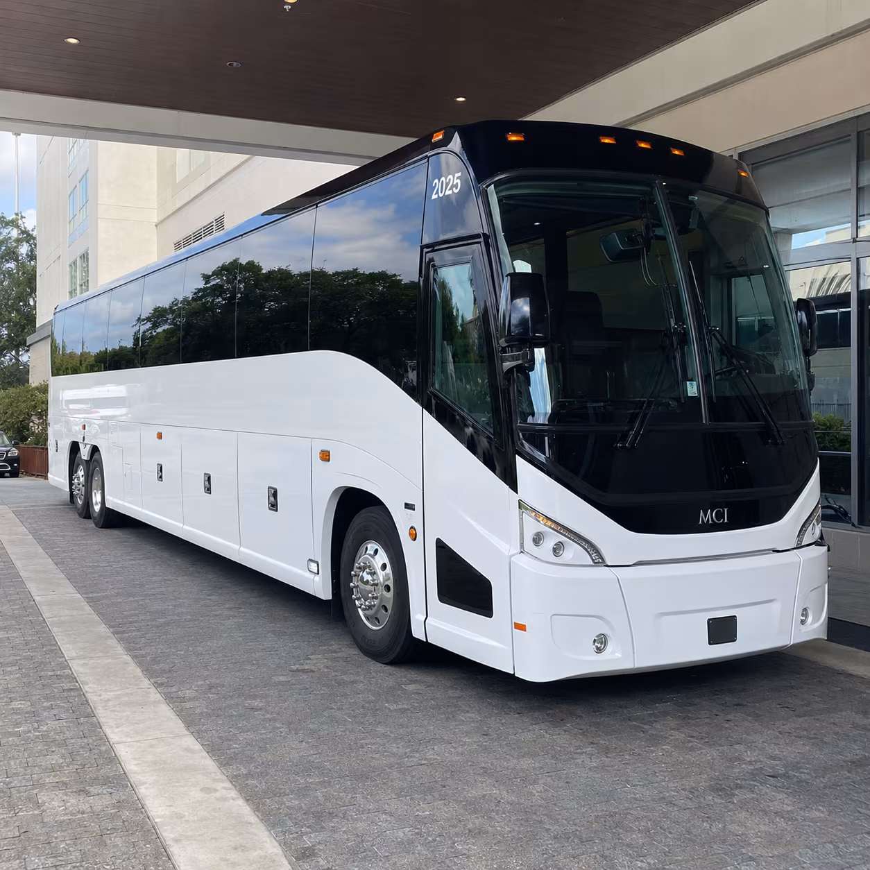 greenville 54 passenger charter bus
