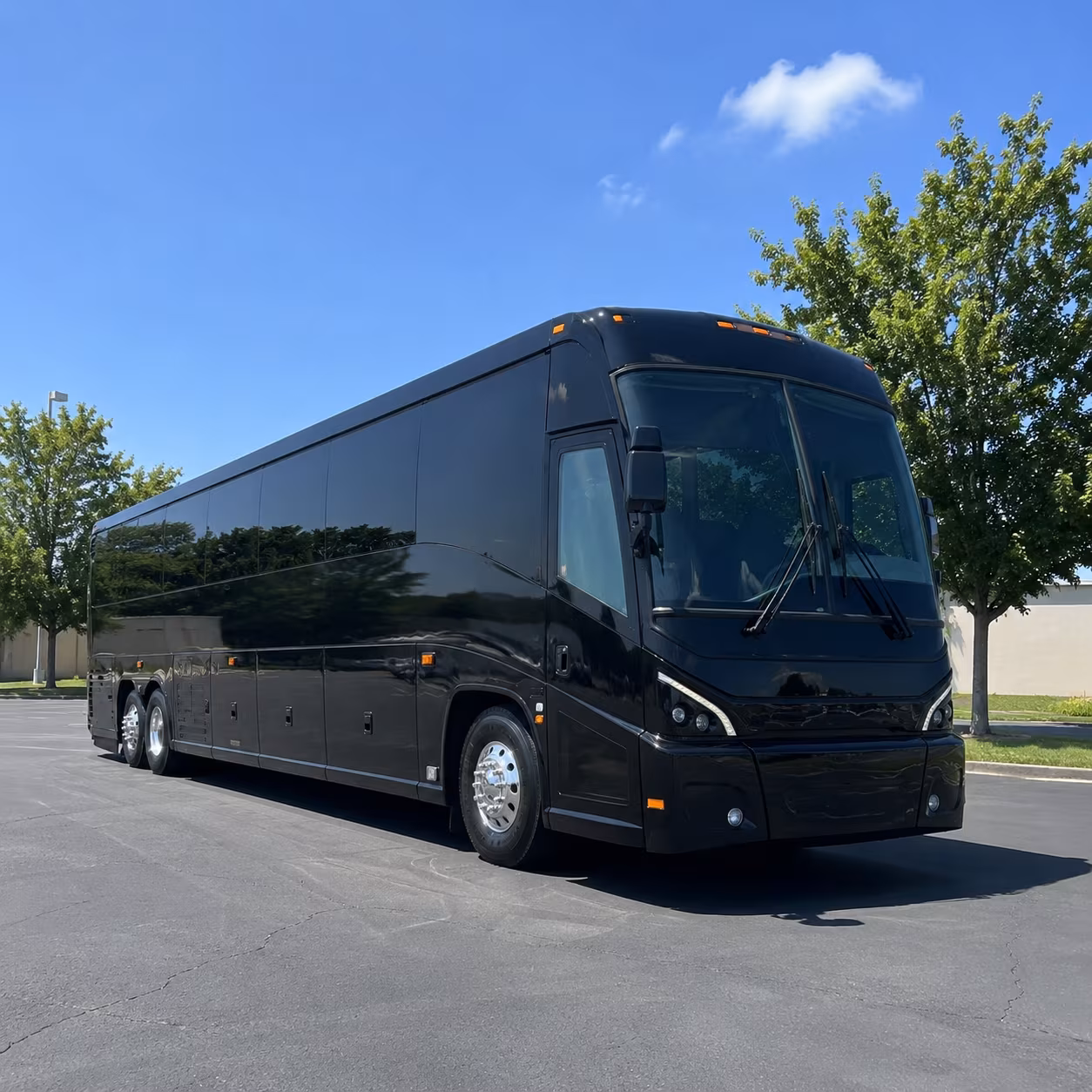greenville 56 passenger charter bus