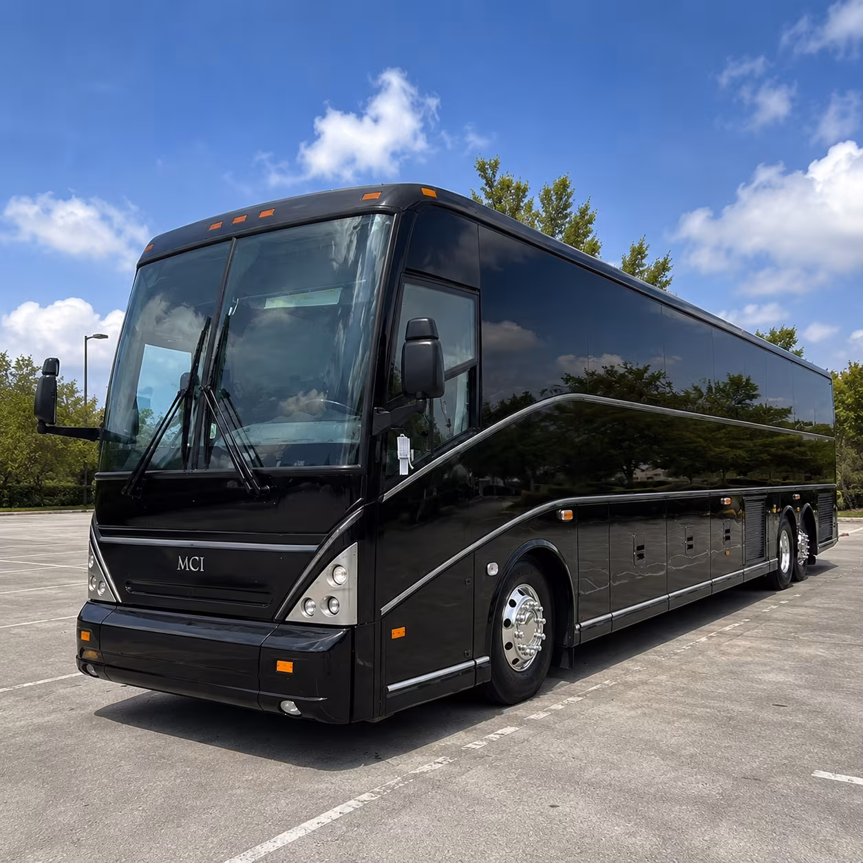 greenville family reunion charter bus rental