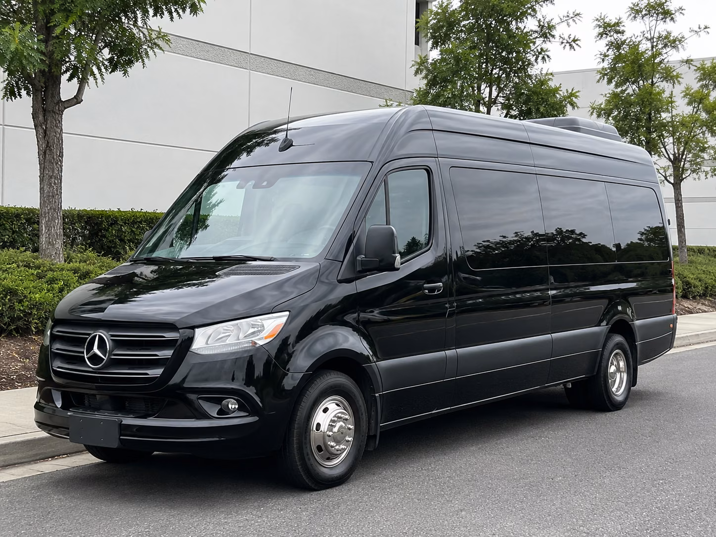 sprinter vans and minibuses for small corporate groups in greenville
